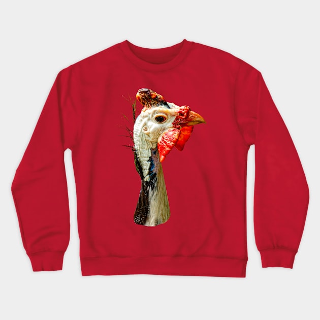 Helmeted Guinea Fowl Crewneck Sweatshirt by dalyndigaital2@gmail.com